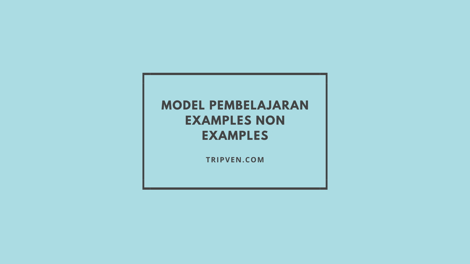 Model Pembelajaran Examples Non Examples