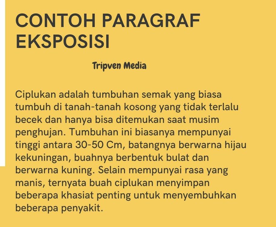 Pengertian Jenis Paragraf dan Contoh Singkat