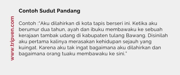 Pola Pengembangan Paragraf Dan Contohnya