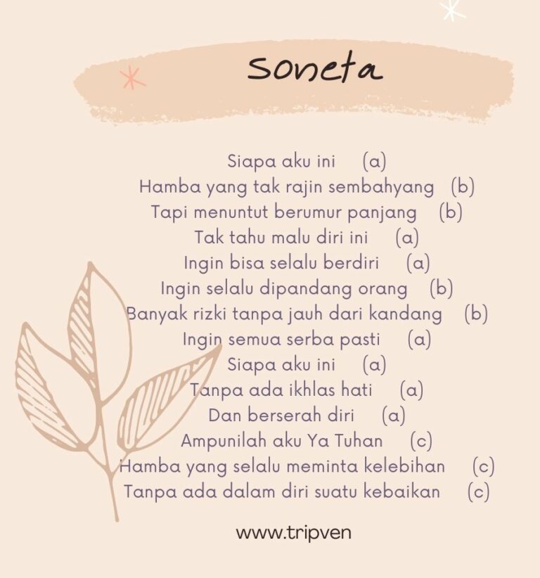 Contoh Soneta