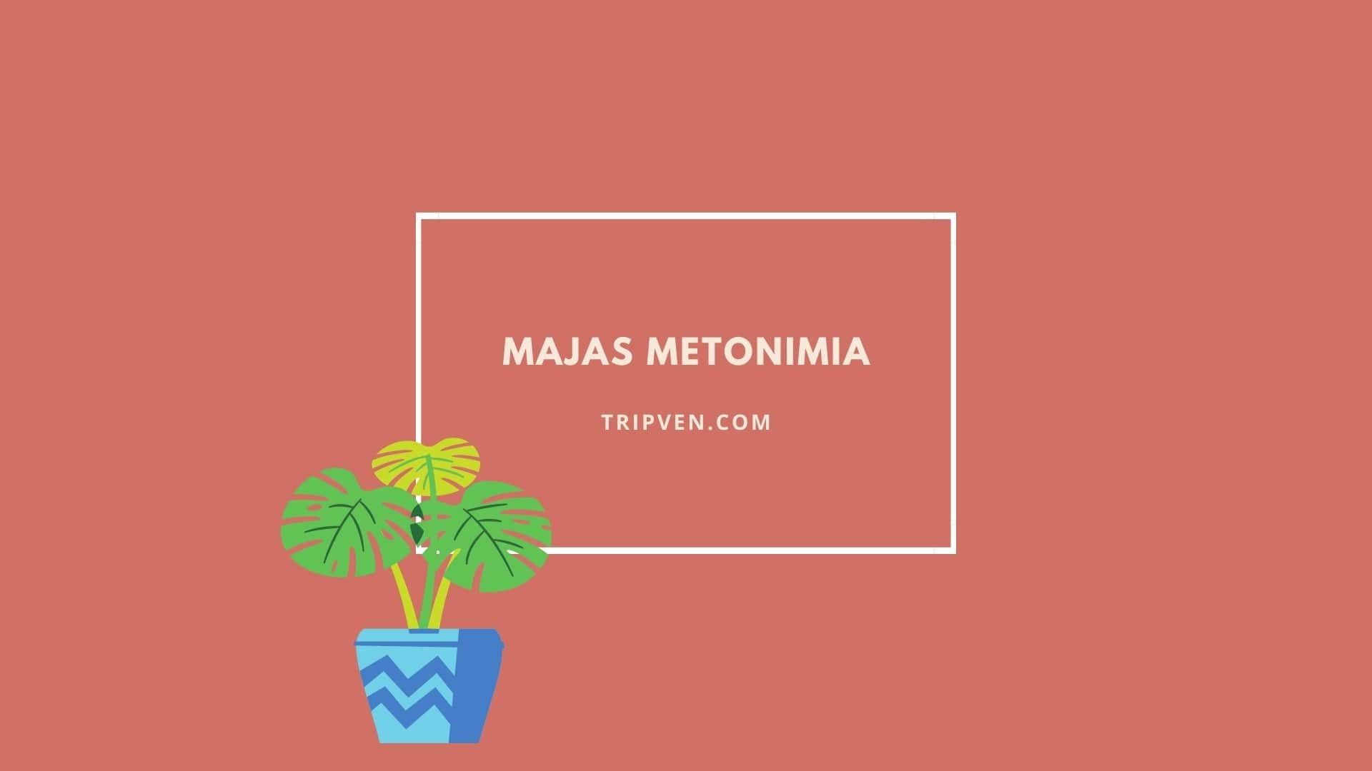 Majas Metonimia Pengertian Contoh dan Puisi