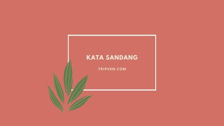 Kata Sandang Pengertian, Penggunaan dan Contoh